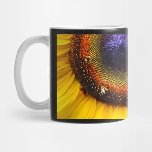 Sunflower, Seeds & Bees Mug